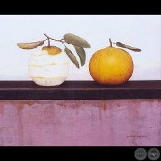 CITRICOS III - Obra de Sebastián Díaz - Año 2003